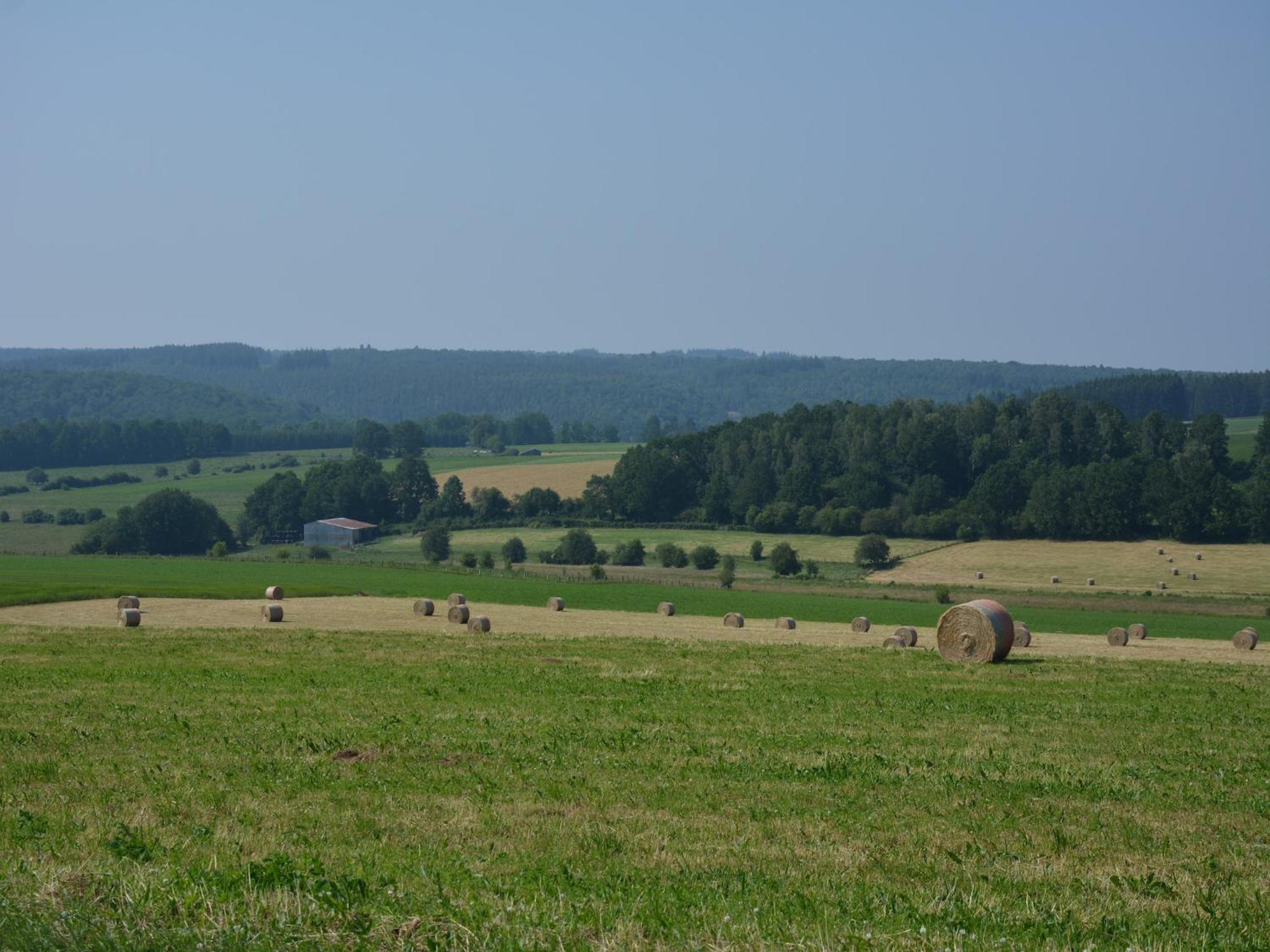 Lovely Holiday Home In Daverdisse With Terrace Eksteriør bilde